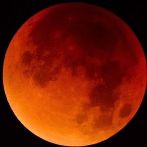 Meet your Posher, Aiden